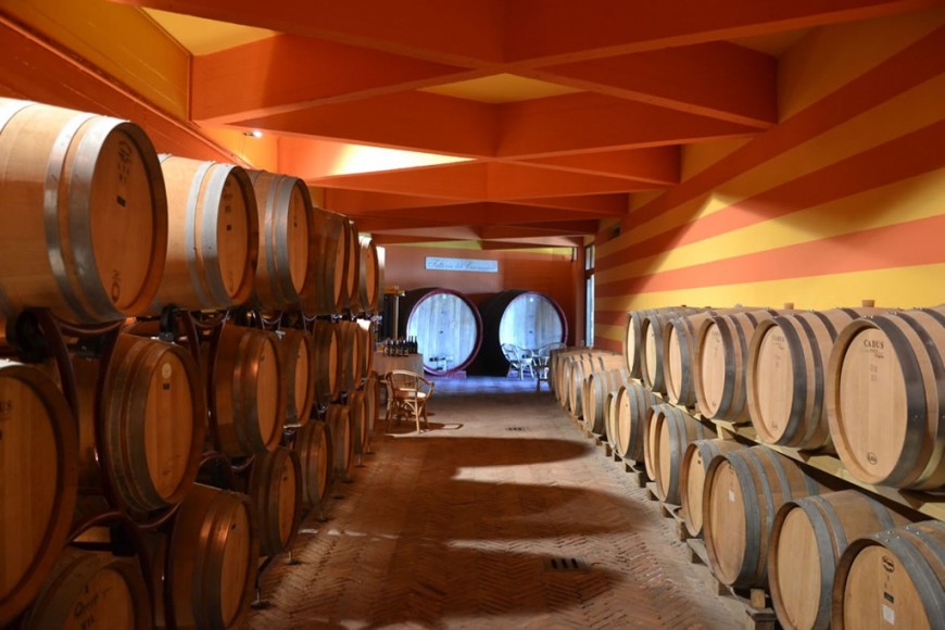 Tenuta del Buonamico interno cantina